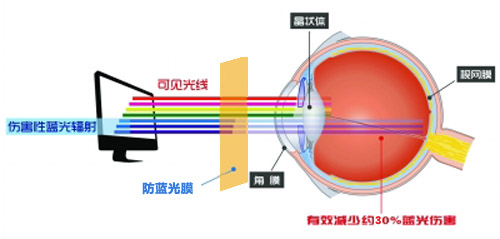 美成最新科技成果 防藍(lán)光膜成護(hù)眼利器 美成最新科技成果 防藍(lán)光膜成護(hù)眼利器