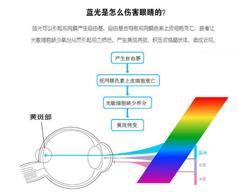 藍(lán)光的危害 藍(lán)光的危害